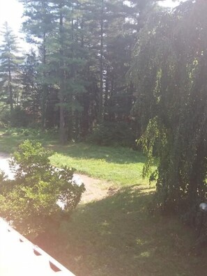 Garden - B & B Villa al roccolo (Brenta)