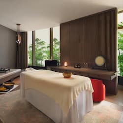 Couples treatment room(s), body treatments, deep-tissue massages