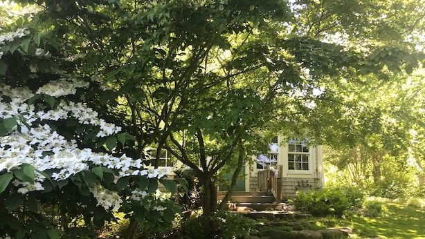 Property grounds - The Little B&B in Aquinnah (Aquinnah)
