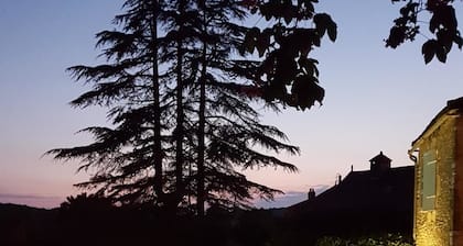 Domaine de Vielcastel