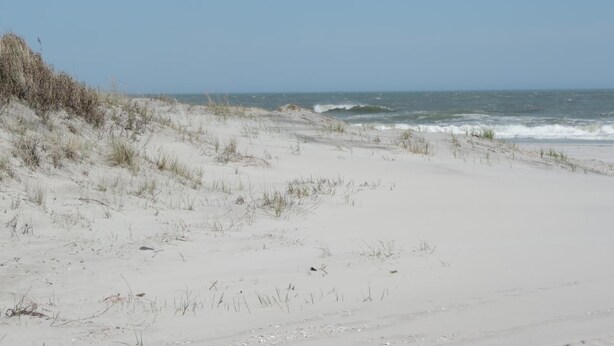 Plage à proximité, sable blanc