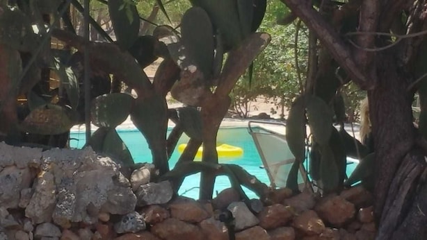 A pool area with a rocky foreground and large cacti. - Agriturismo Vita e Natura (Noto)