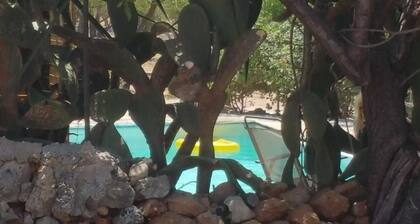 Agriturismo Vita e Natura