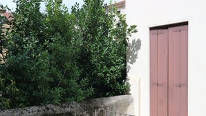 A concrete planter with green foliage, a metal railing, and a red door. - Vicenza - Stradella San Giovanni 7 (Vicenza)