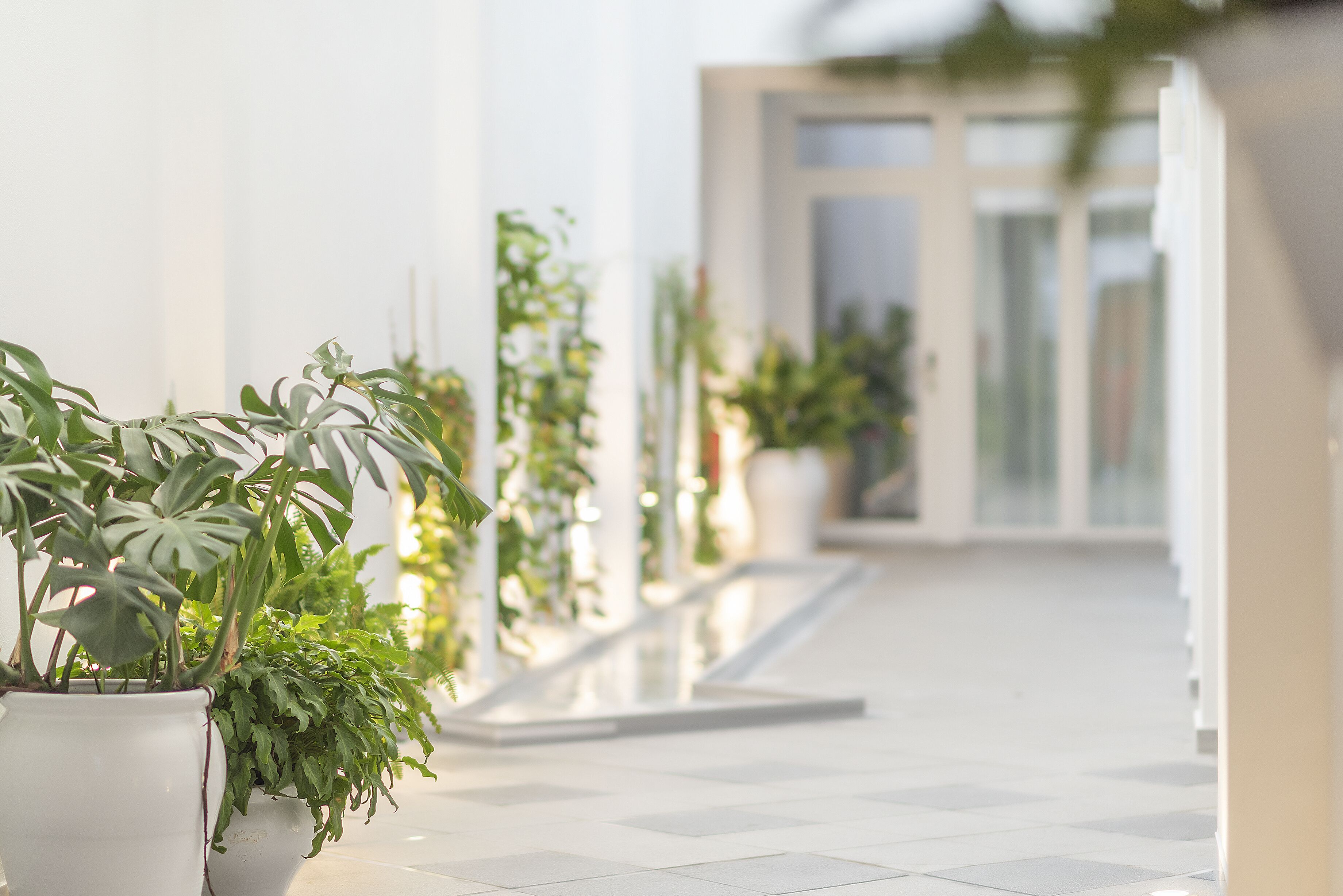 Foto - Alzocaire Hostal Boutique