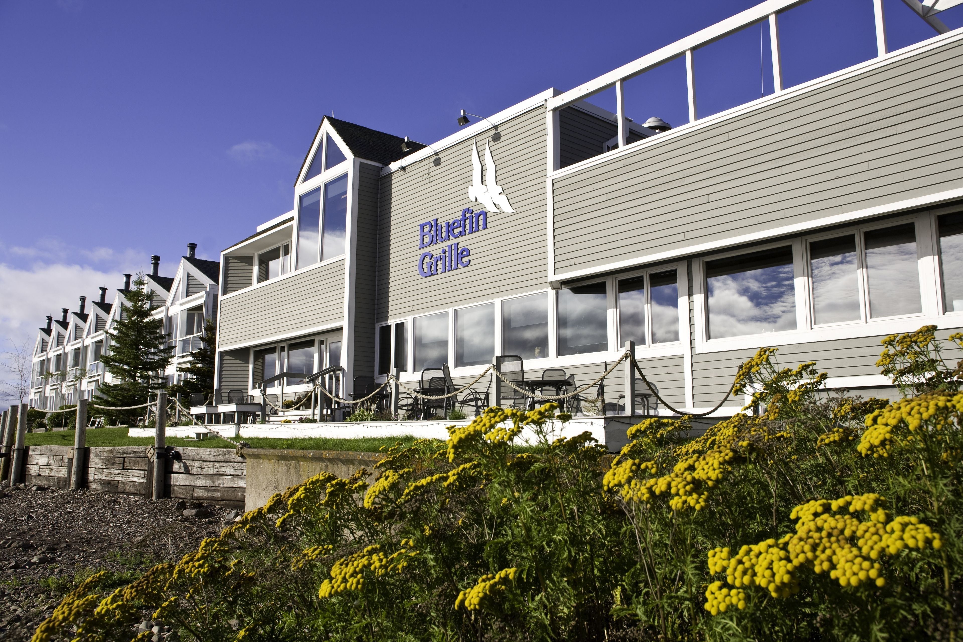 Un bâtiment portant l’enseigne « Bluefin Grille », ce qui indique qu’il s’agit d’un restaurant.