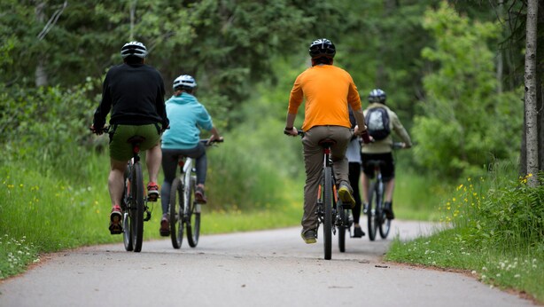 Un chemin pavé où l’on peut voir des cyclistes.