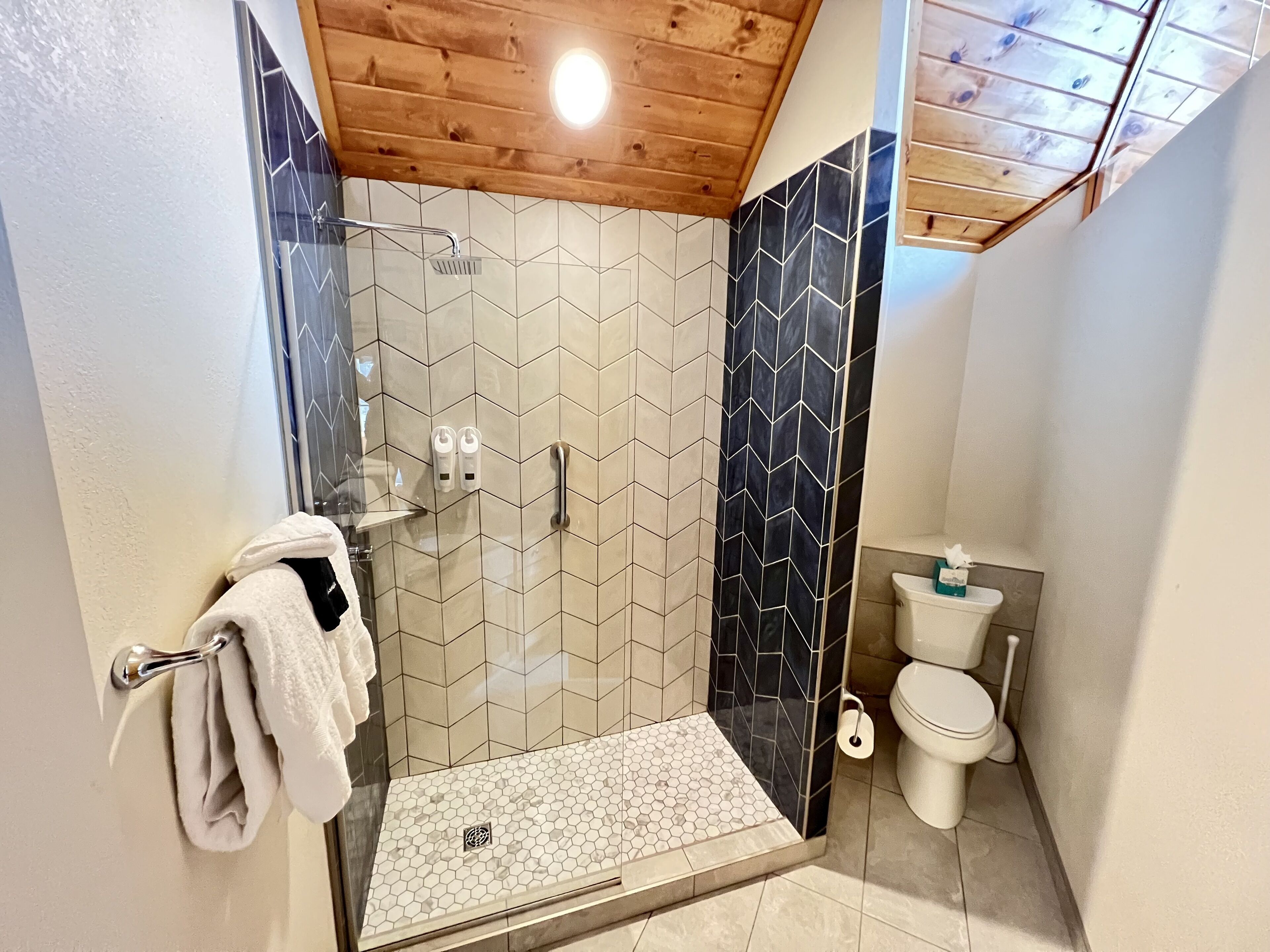 A modern bathroom with a glass-enclosed shower, a toilet, and a towel rack.
