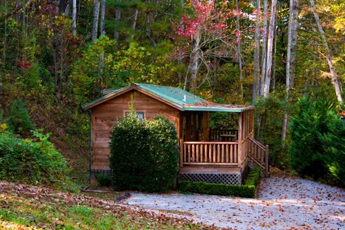 Moose Cabin - 2 Bedroom/1 Bath Vacation Rental