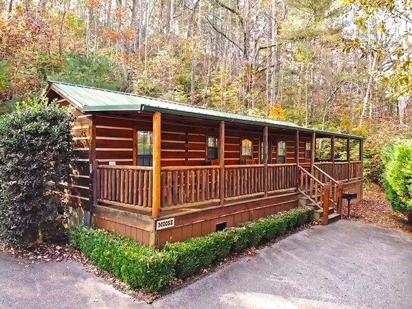 Ein rustikales Blockhaus mit einer Holzdiele und einer Veranda, umgeben von dichtem Wald.