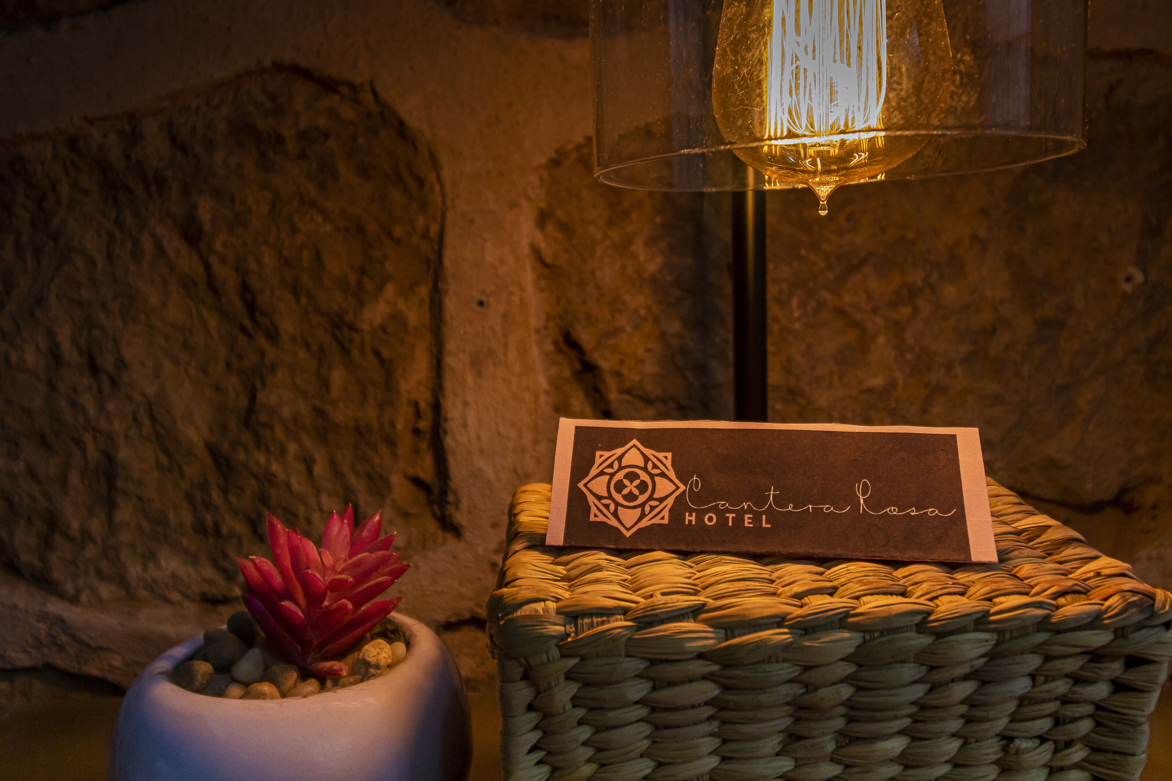 A wicker basket with a sign labeled "Cantareira Rosa Hotel" and a potted succulent plant.