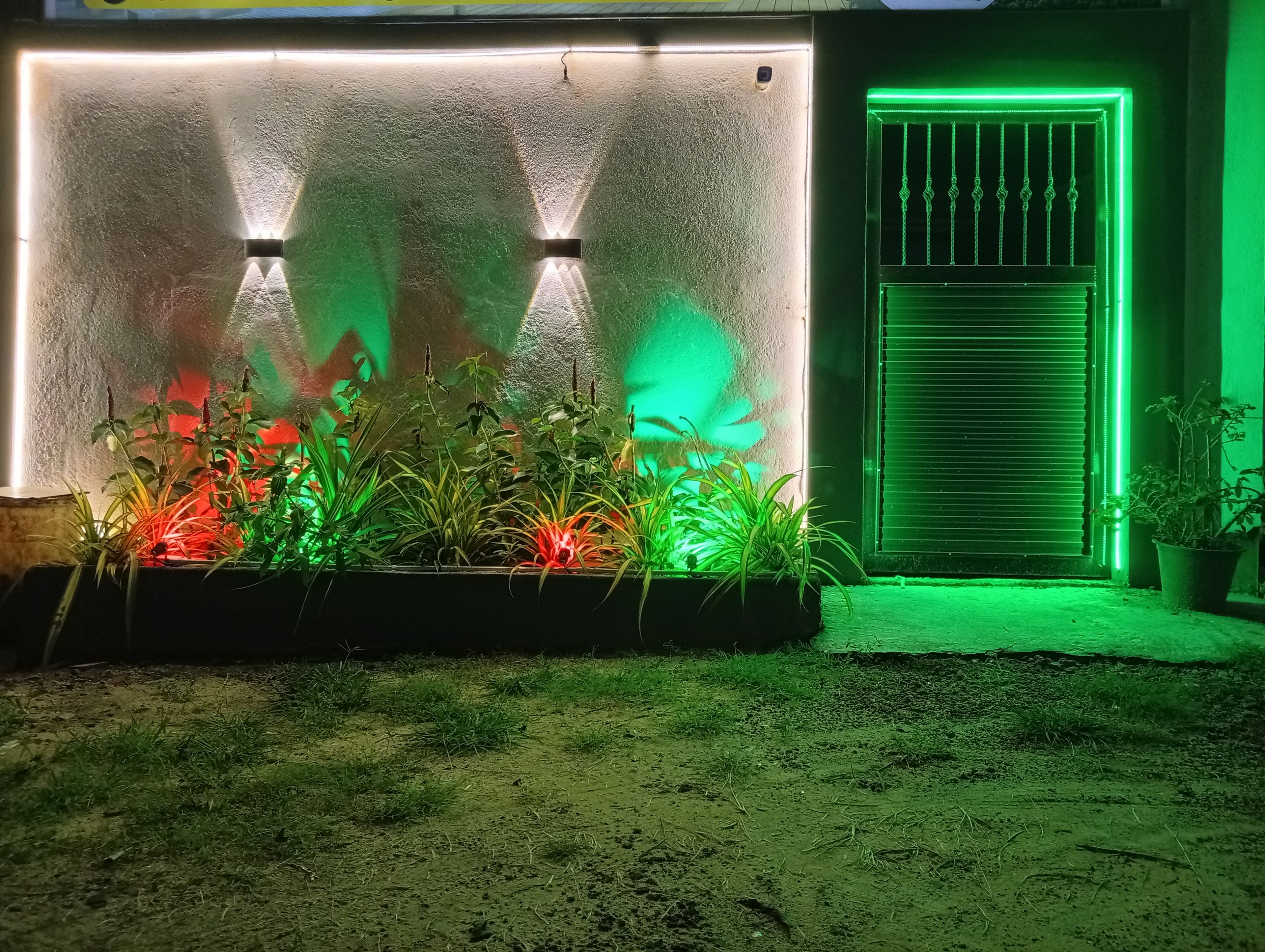 Un jardín con plantas iluminadas por luces de colores, una pared con textura y una puerta iluminada con neón verde.