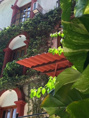 Property grounds - Yaxché (Chiapa de Corzo)