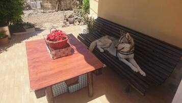 Udendørs spisemuligheder