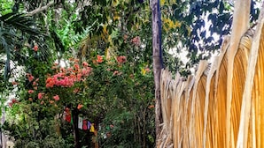 Garden - Hostel Candelaria (Valladolid)