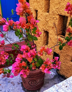 Terrace/patio - Hostel Candelaria (Valladolid)