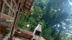 A wooden deck with a table and chairs, surrounded by lush greenery. - Pousada Naturale (Paraty)