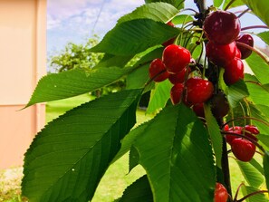 Exterior detail - Jolie halte normande (Balines)