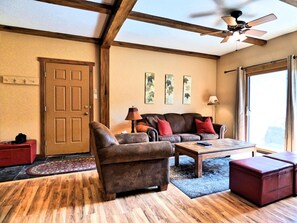 TV, fireplace, DVD player