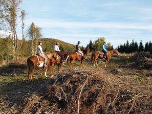 Horse riding