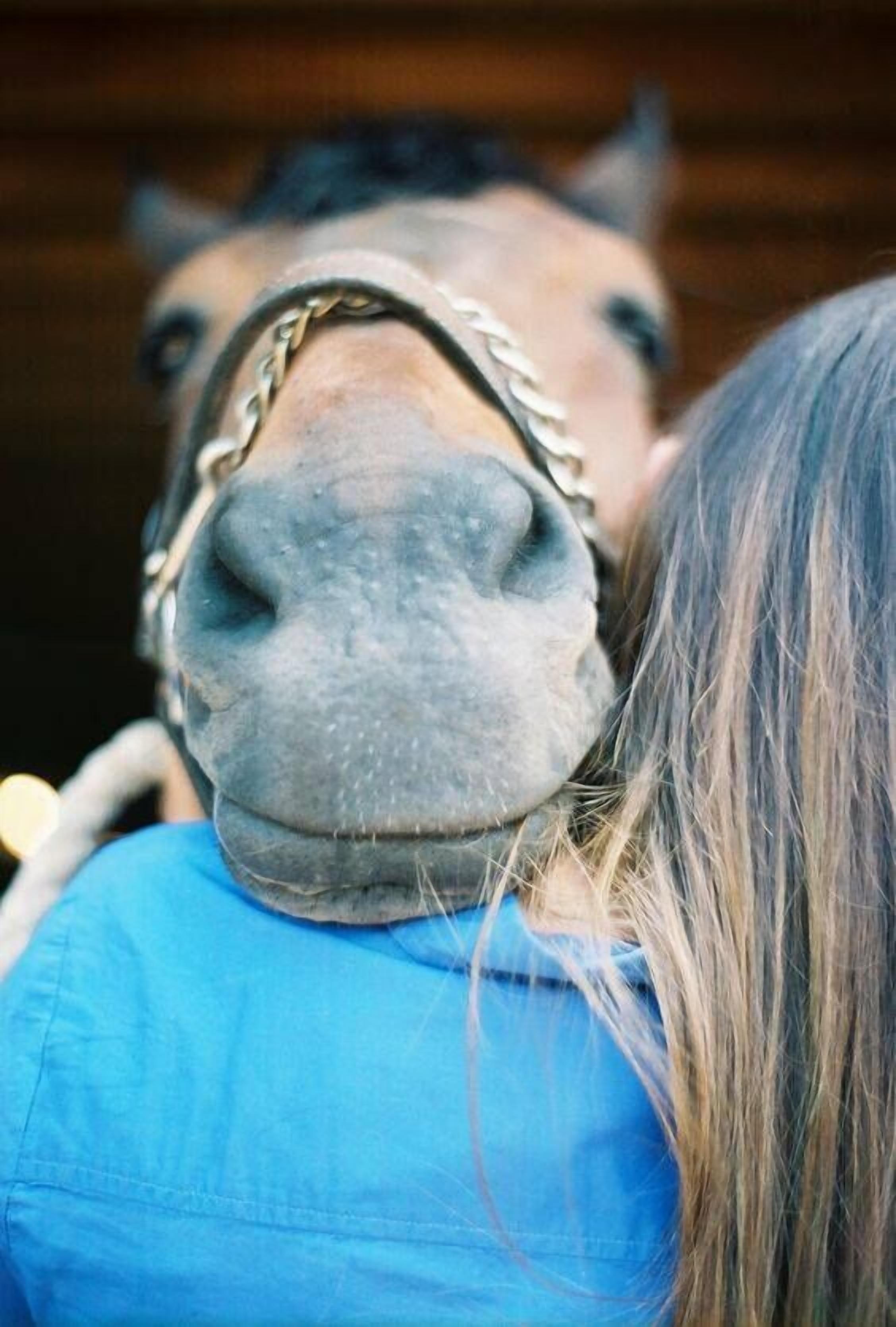 روضة أطفال