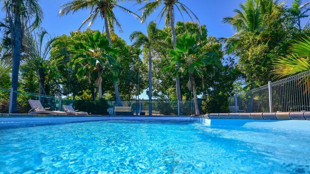 Une piscine entourée de palmiers et de chaises longues.