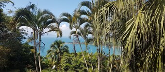 Paradise. Beautiful view of the ocean!