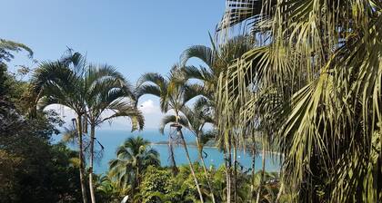 Paradise. Beautiful view of the ocean!