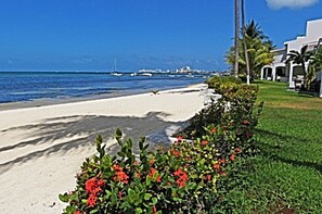 Sun-loungers, beach towels - Beautiful Beach Front Villa in Cancun  Hotel Zone. (Cancun)