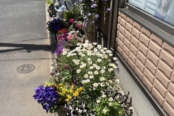 Détail de l’extérieur