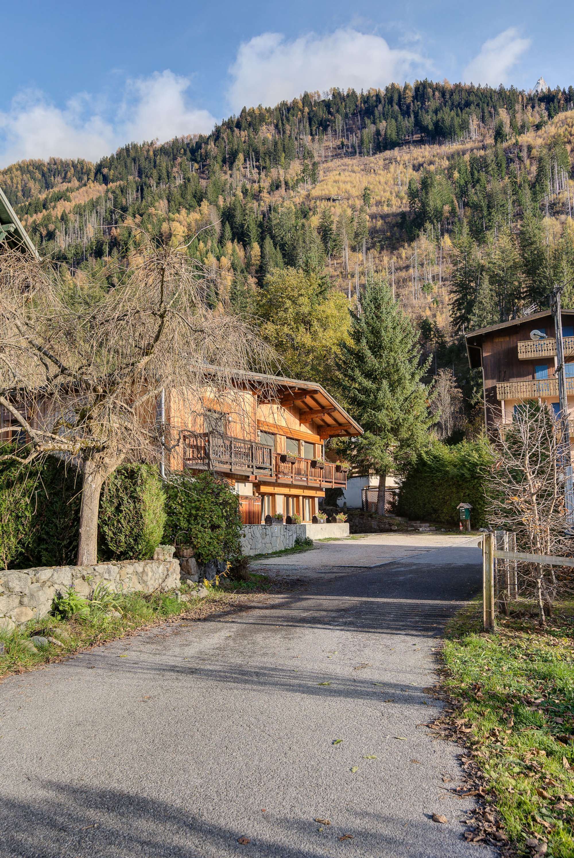 Un chalet de montagne avec une façade en bois, un chemin en pierre et une vue sur une colline boisée.