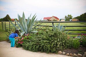 Overnattingsstedets uteområder