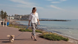 A person walking a dog along a paved walkway by the sea, with buildings and a rocky breakwater in the background. - Riverside Courtyard Glenelg North | Pets Welcome (Glenelg North)