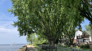 A waterfront walkway with a concrete barrier, a chain-link fence, and a large tree providing shade. - Historic and quiet St. Joseph neighborhood: Lovely comfortable 100 yo two story (St Joseph)