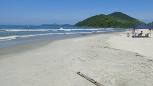 在海灘附近、躺椅