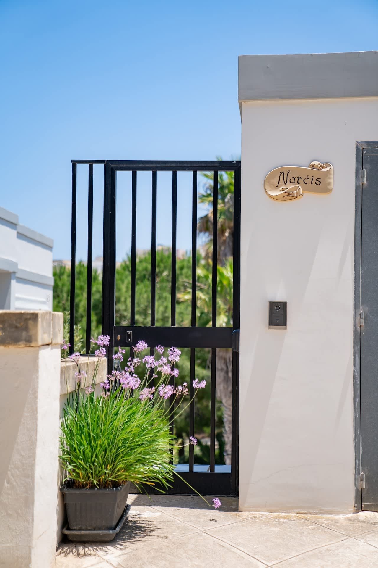 A gated entrance with a nameplate reading "Narcis" and a potted plant with purple flowers.