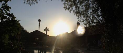 A sunset over a pool with buildings and palm trees in the background.