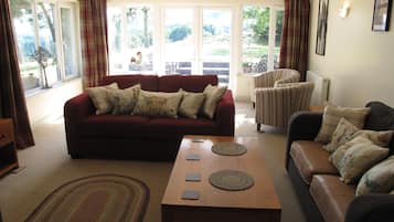 TV, fireplace, DVD player