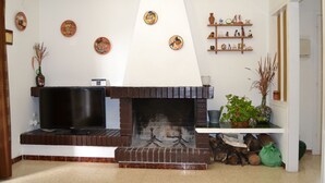 Una sala de estar con chimenea, televisión y platos decorativos en la pared.