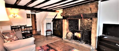TV, fireplace, books