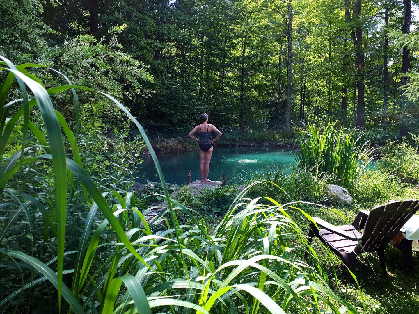 Terrain de l’hébergement 