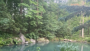 Un étang paisible, entouré d’une forêt dense, avec une jetée en bois.