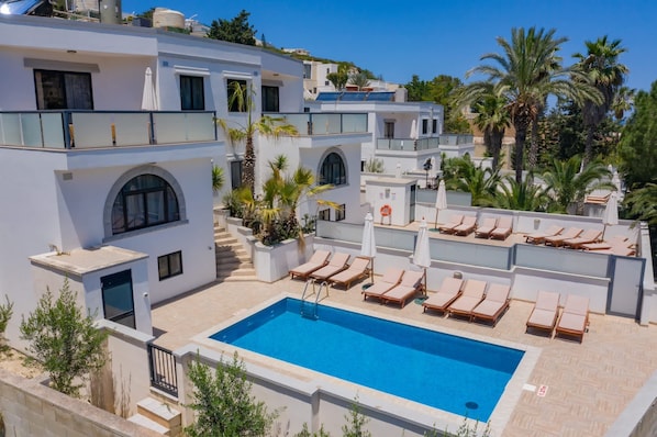 A modern building with a rooftop pool, lounge chairs, and palm trees.