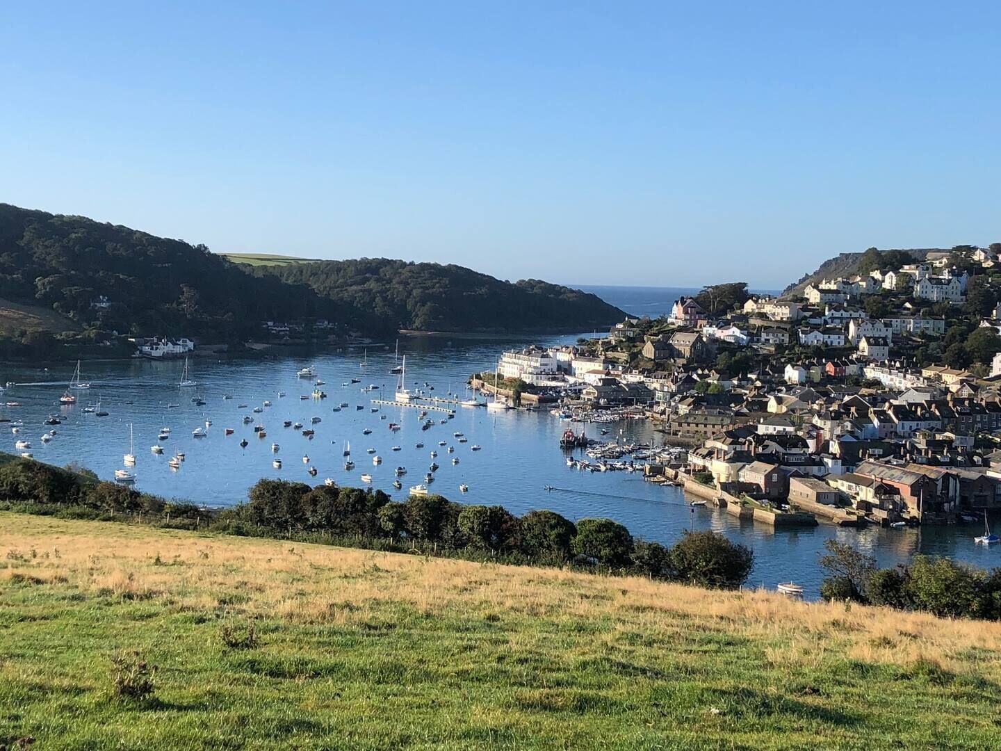 A coastal town with a marina filled with boats, surrounded by hills and residential buildings.