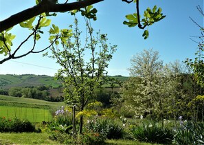 Property grounds - Apartment in the newly built straw bale house Valle delle Rose - (Barchi)