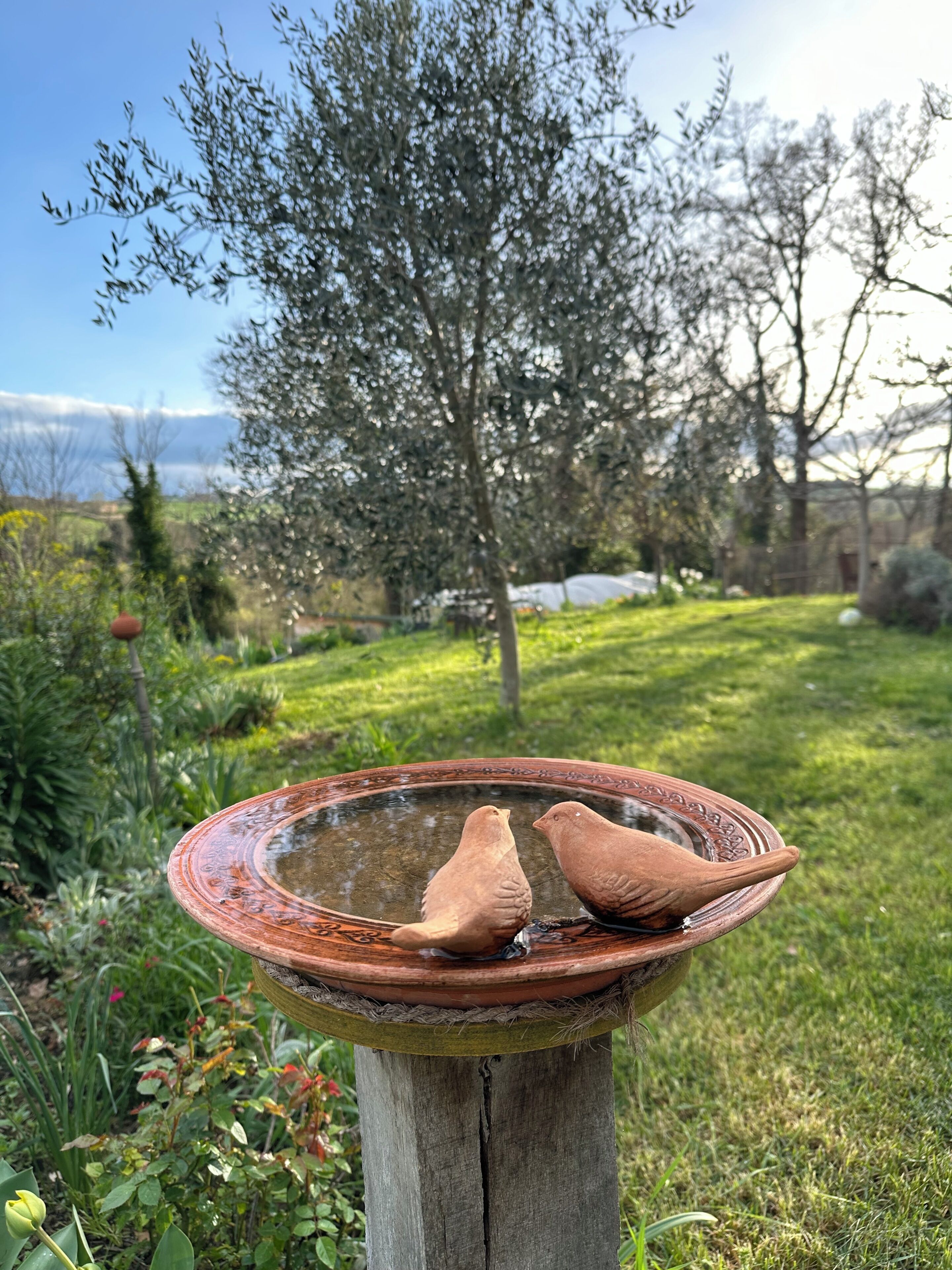 Parco della struttura