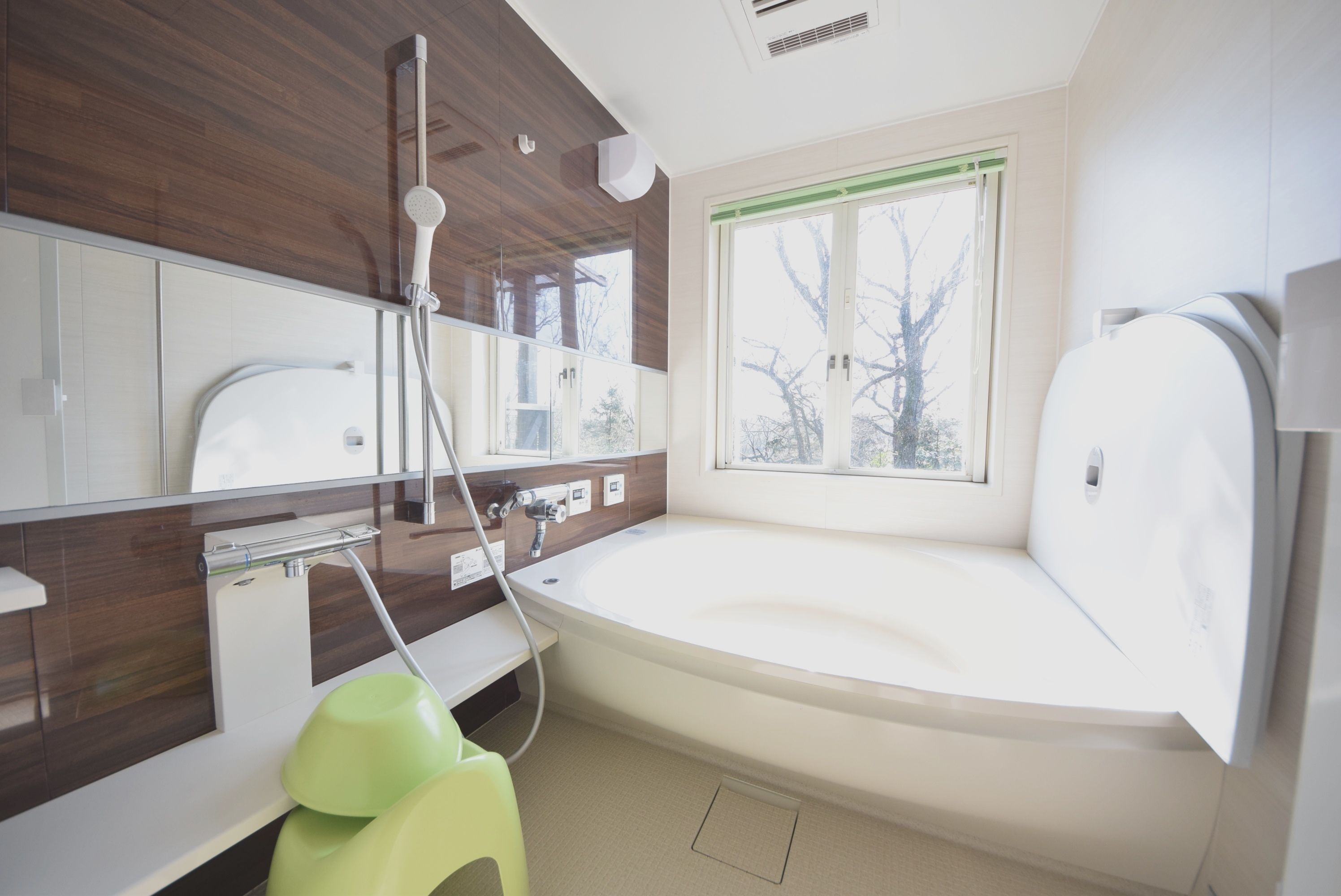 A modern bathroom with a large bathtub, a shower, and a toilet.
