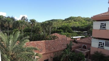 Vista desde la propiedad