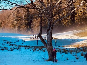 Wintersport/Ski