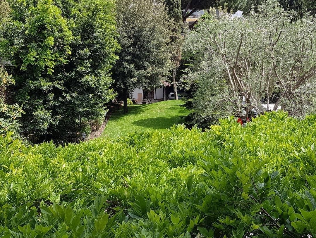 Photo - Fauno Urban Resort